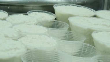 İtalyan mozzarella üretim süreci
