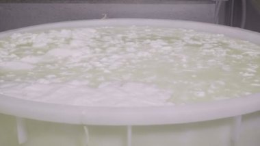 İtalyan mozzarella üretim süreci