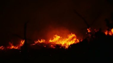 Bir orman yangını yanan turuncu ve kırmızı