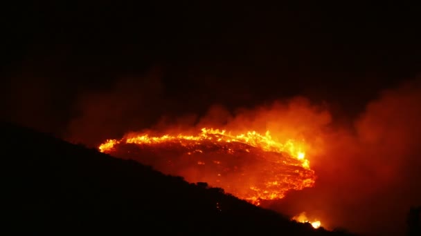 Bir orman yangını yanan turuncu ve kırmızı — Stok video