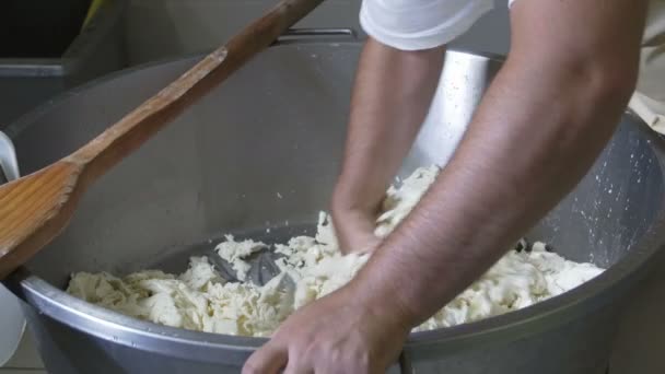 Producción en fábrica de mozzarella — Vídeos de Stock