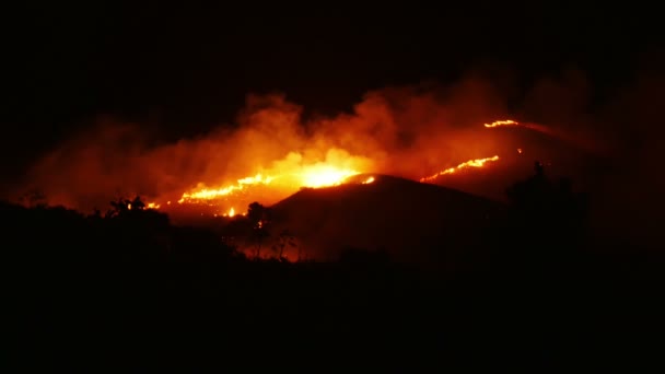 Bushfire spalania pomarańczowy i czerwony — Wideo stockowe