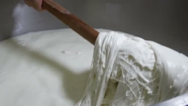 Proceso de producción de mozzarella italiana — Vídeo de stock