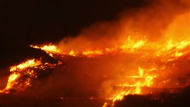 Лесной пожар — стоковое видео