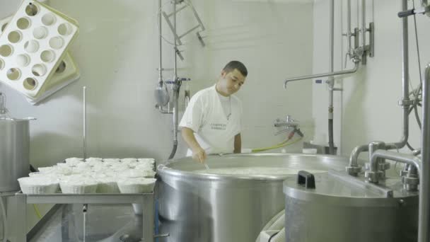 Üreten fabrika mozzarella — Stok video