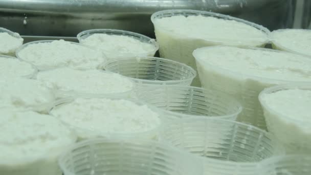 Proceso de producción de mozzarella italiana — Vídeo de stock