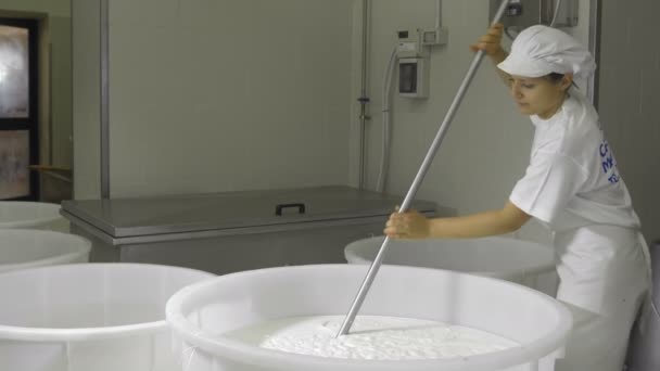 Fabrik produziert Mozzarella — Stockvideo