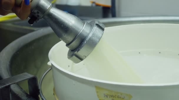 イタリア産水牛モッツァレラの製造工程 — ストック動画