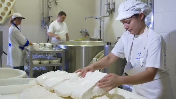 Factory producing mozzarella — Stock Video