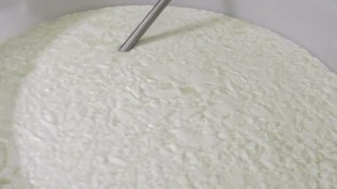 İtalyan mozzarella üretim süreci