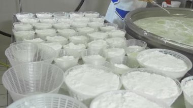 İtalyan mozzarella üretim süreci