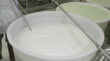 İtalyan mozzarella üretim süreci