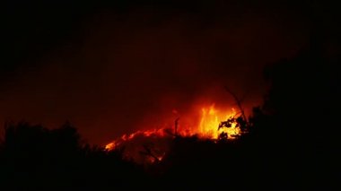 Bir orman yangını yanan turuncu ve kırmızı