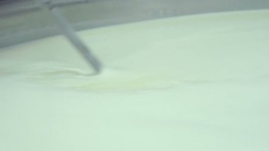 İtalyan mozzarella üretim süreci