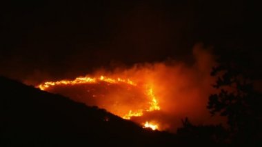 Bir orman yangını yanan turuncu ve kırmızı