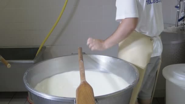 Fabryki produkujące mozzarella — Wideo stockowe