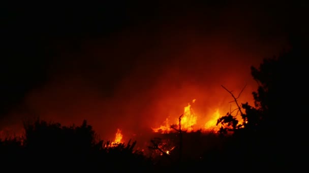 Un fuego ardiente naranja y rojo — Vídeo de stock