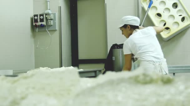 Fabriken producerar mozzarella — Stockvideo