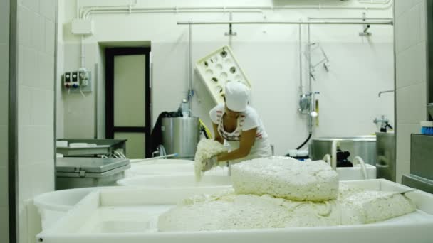 Usine de production de mozzarella — Video