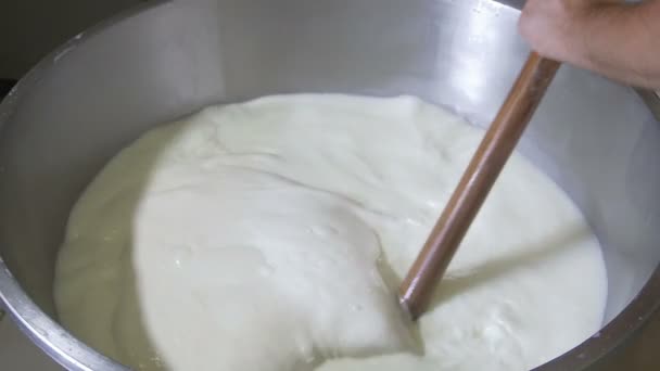 İtalyan mozzarella üretim süreci — Stok video