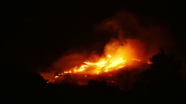 Bushfire spalania pomarańczowy i czerwony — Wideo stockowe