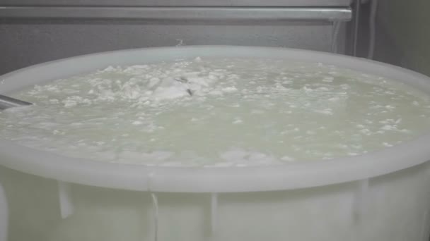 Proceso de producción de mozzarella italiana — Vídeos de Stock