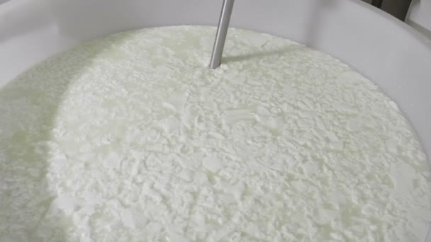 Proceso de producción de mozzarella italiana — Vídeo de stock