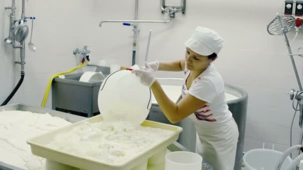 Fabriek voor de productie mozzarella — Stockvideo