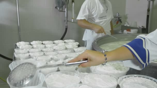 Фабрику з виробництва моцарелла — стокове відео