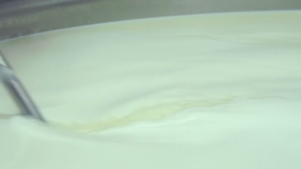 Výrobní proces italské mozzarelly — Stock video