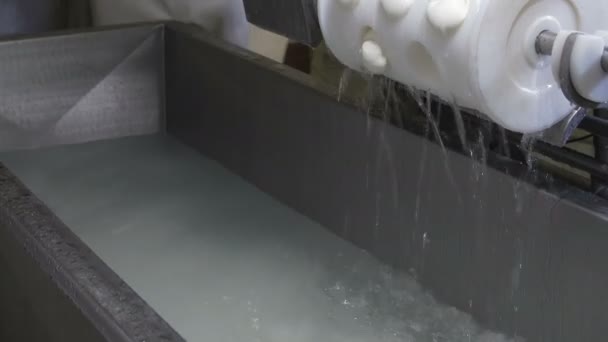 Fabriek voor de productie mozzarella — Stockvideo