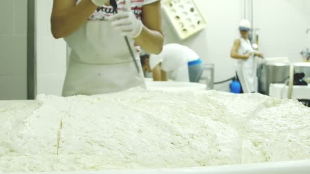 Factory producing mozzarella — Stock Video