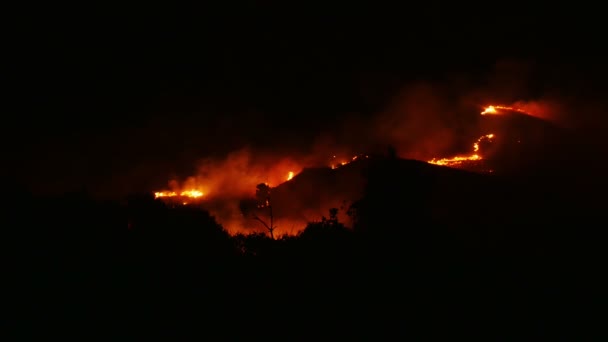 Un fuego ardiente naranja y rojo — Vídeo de stock