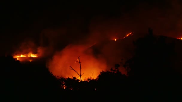 Queimaduras florestais perto de casas — Vídeo de Stock