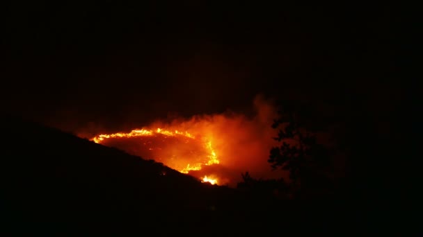 Ένα bushfire καύση πορτοκαλί και το κόκκινο — Αρχείο Βίντεο