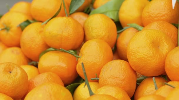 Fresh oranges on the market stall — Stock Video