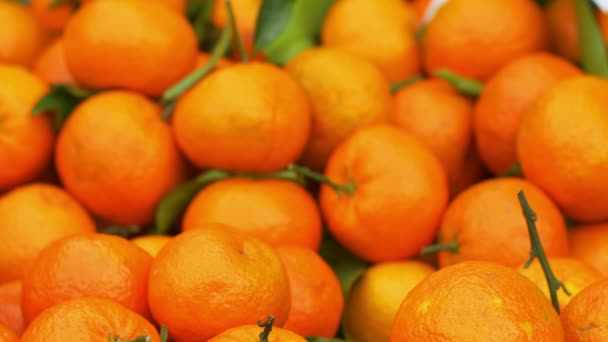 Čerstvé pomeranče na trhu — Stock video