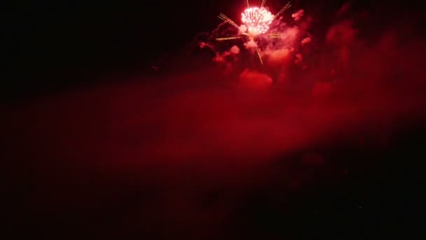 Vuurwerk explosies in de hemel — Stockvideo