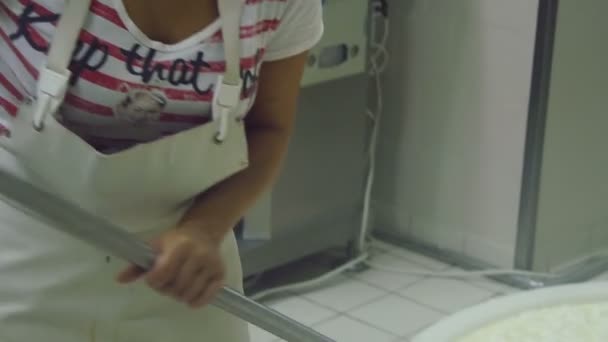 生産工場のモッツァレラチーズ — ストック動画