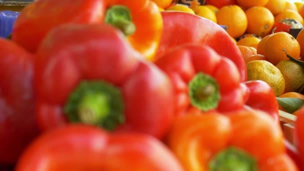 Süße rote Paprika am Stand — Stockvideo