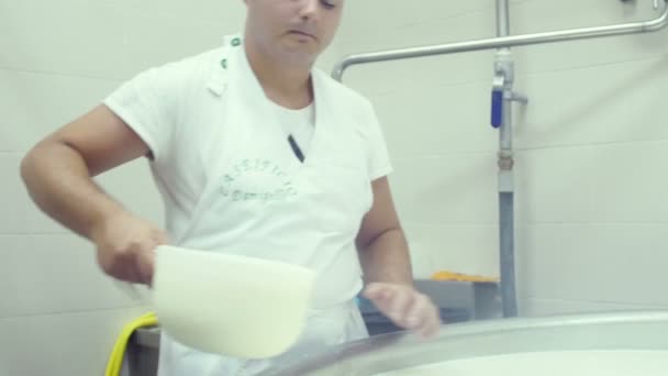 Fábrica de produção de mussarela — Vídeo de Stock