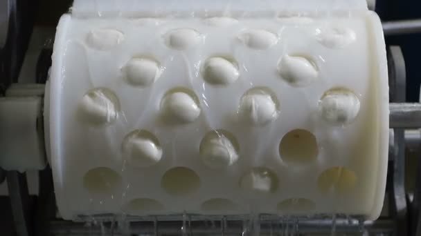 Proceso de producción de mozzarella italiana — Vídeos de Stock