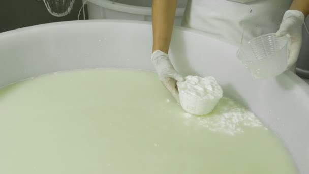 Production process of Italian mozzarella — Stock Video