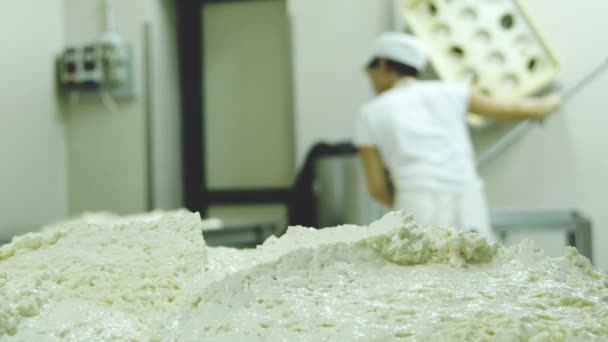 Výrobní proces italské mozzarelly — Stock video