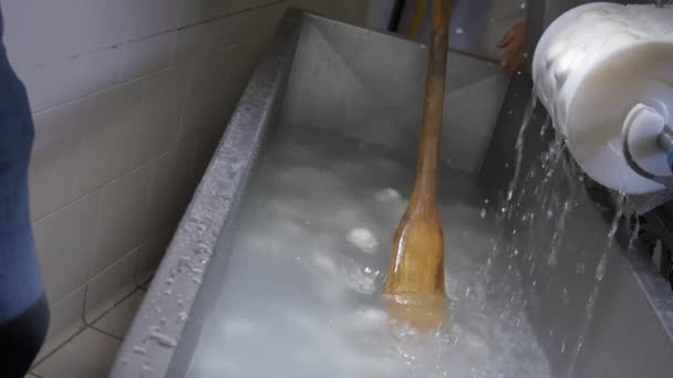 Proceso de producción de mozzarella italiana — Vídeo de stock