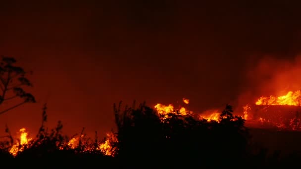 Bushfire spalania pomarańczowy i czerwony — Wideo stockowe