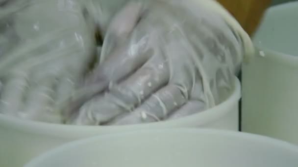 Processus de production de mozzarella italienne — Video