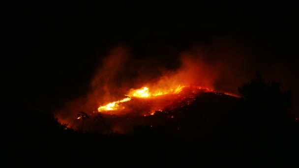 Bushfire hořící oranžové a červené — Stock video