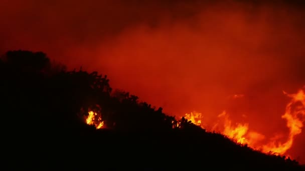 Een bushfire brandende oranje en rood — Stockvideo