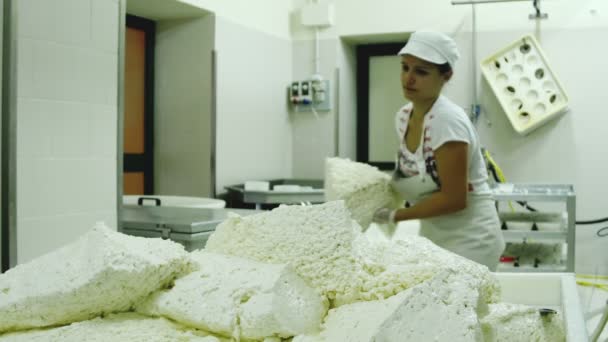 Fabriek voor de productie mozzarella — Stockvideo